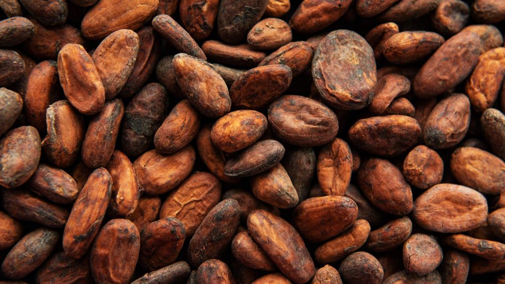 kakao çekirdeği faydaları