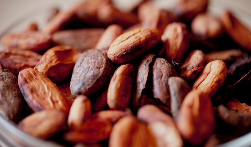  Kakao Çekirdeği Nedir? Kakao Çekirdeği Faydaları Nelerdir?