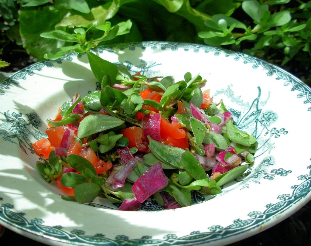 kişnişli semizotu salatası