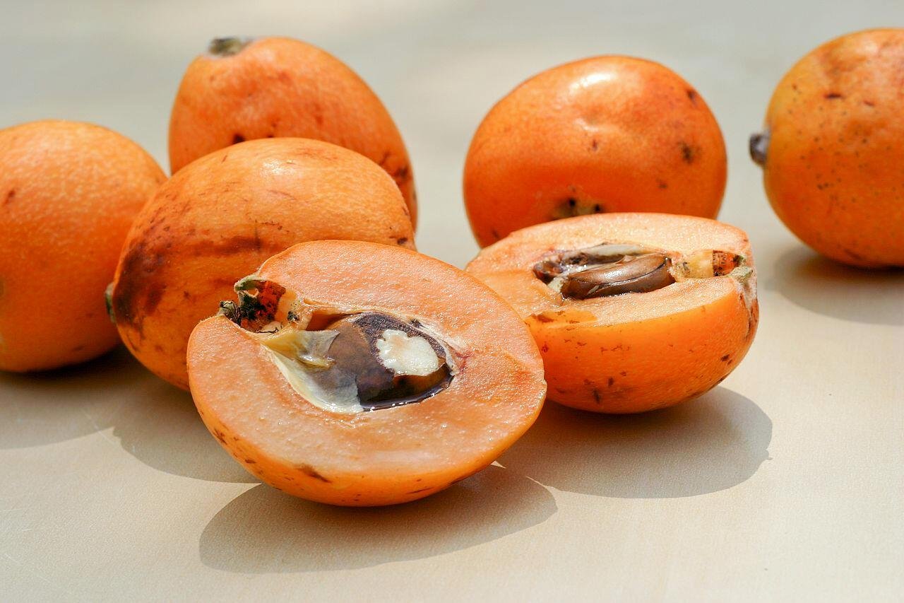 Оранжевый фрукт похожий. Мушмула Азгиль. Нисперо мушмула. Мушмула Азербайджанская. Мушмула хурма.